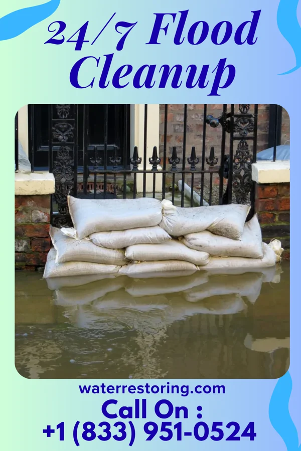 24/7 Flood Cleanup in Raritan, IL