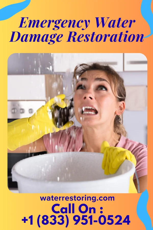 Emergency Water Damage Restoration in Raritan, IL