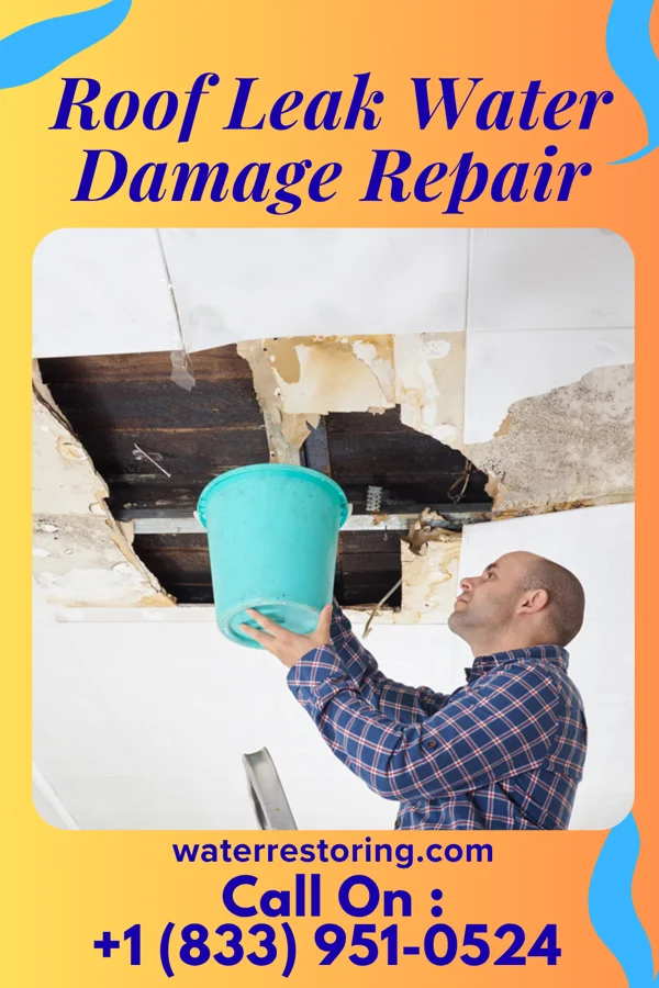Roof Leak Water Damage Repair in Raritan, IL