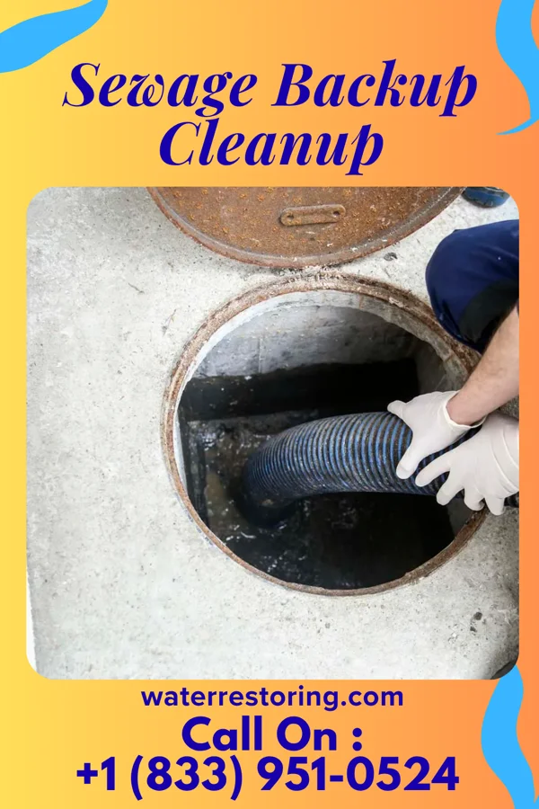 Sewage Backup Cleanup in Raritan, IL